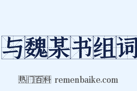与魏某书组词是什么意思的图片